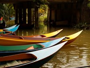 Лодки на баньяновой реке