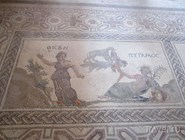 Одна из мозаик виллы Диониса