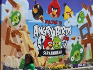 Angry Birds Land