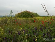 Цветущее болгарское поле