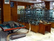 Мамонтенок Дима в  Геологическом музее