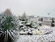 Зима в Геленджике