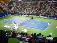 Арена Dubai Tennis Championships