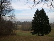 Лес рядом с Цюрихом