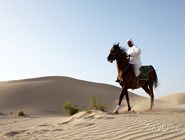 Традиционный уклад жизни в пустыне