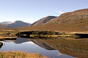 Алтай. Фото: Travel.ru