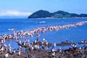 Фестиваль "Разделение моря Чиндо". Фото: tour2korea.com