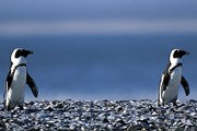 Фото: GettyImages