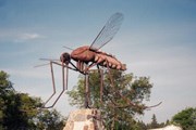 Фото: Bigthings.ca