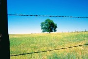 Фото: GettyImages