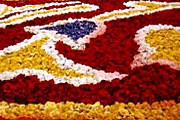Цветочный ковер в Брюсселе. Фото: www.pbase.com
