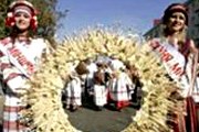 Фестиваль "Дожинки". Фото: Photo.bymedia.net