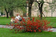 Фото: ILOVECZ.RU