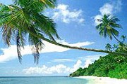 Остров Тиоман. Фото: extremeclub.ru