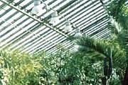 Оранжерея зооботанического сада в Казани. // kazan.org.ru