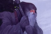 Зюзя Поозерский - прародитель Деда Мороза. // Илья Комаров
