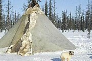 Французские туристы будут жить в чумах // vio.fio.ru