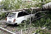 Скорость ураганного ветра в Европе превышает 100 км в час. // РИА "Новости"