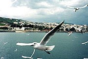 Озеро Кинерет // orhaolam.org