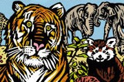 Пражский зоопарк установил рекорд. // zoopraha.cz