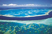 Удобрения губят Большой Барьерный риф. // queensland-europe.com