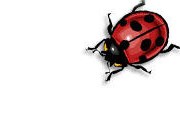 Символ фестиваля - божья коровка. // espoir.ch
