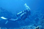 Водолазы расчистят дно до глубины 50 метров. // spim.ru