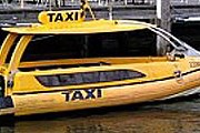 Речные такси начнут курсировать уже в этом году. // "Московский комсомолец"