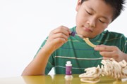 Кости динозавра: вкусно, питательно, полезно. // GettyImages