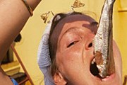 Сельдь во всех видах очень популярна в Голландии. // GettyImages