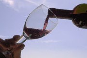Праздник молодого вина начался в Италии. // static.blogo.it