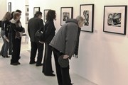 Многие из представленных работ в КНР экспонируются впервые. // bark.photosight.ru