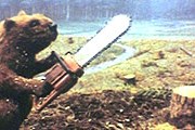 Бобров вернут в дикую природу. // imageshack.us