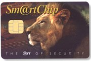 Так выглядит туристическая карта Holy Pass. // holypass.co.il