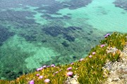 Эгейское море манит туристов. // Travel.ru