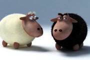 Забытые туристами вещи поражают воображение. // peopleaggregator.net