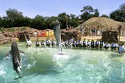 Океанариум откроется в феврале. // marineland.fr