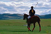 Туристы смогут поиграть в гольф, теннис или поло. // GettyImages