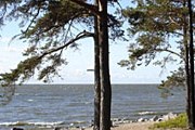 Отдых в Ленинградской области все популярнее. // poselokgoda.ru