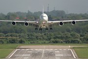 Взлетно-посадочная полоса аэропорта Дели не работала из-за ящериц и шакалов. // Airliners.net