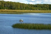 Проблема чужеродных видов разрастается до масштаба национального кризиса. // Travel.ru