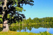 Беловежская пуща готовится отметить 600-летие. // belarustourism.by