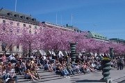 Площадь Кунстрагорден - место сбора «северных». // imageshack.us
