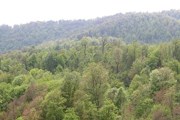 Парк Дилижан расположен на северо-востоке Армянского нагорья. // dilijan.am