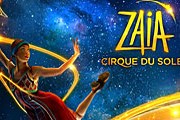 Cirque Du Soleil - это всегда захватывающее шоу. // conradaskland.com
