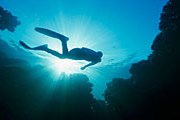 Гибель людей – на совести «левых» дайвинг-центров. // GettyImages