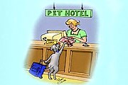 Названы лучшие отели для туристов с животными. // roen.com