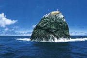 Дикая красота Фарерских островов // fototema.ru