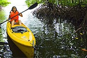 Обновленный курорт предлагает прогулки по мангровым лесам. // gayana-eco-resort.com