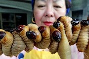 Любителям экзотики лидеры рейтинга придутся по вкусу. // greendaily.com